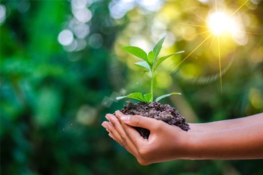 Some Alternatives to Harsh Chemical Additives